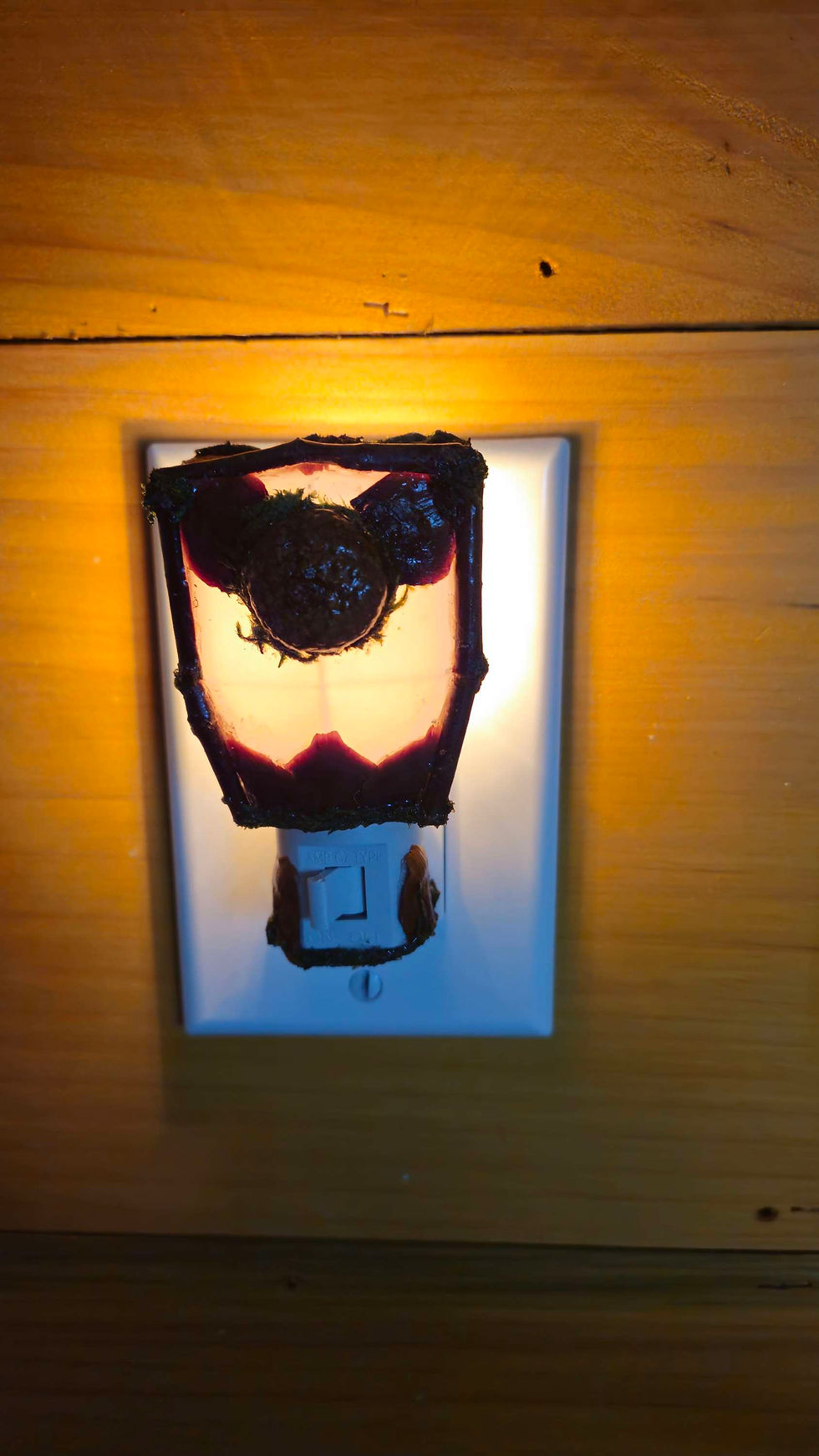 Thumbnail: Acorn cap night light