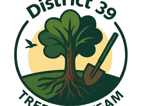 Learn More about the D39 Tree Care Team and Help Our Street Trees!