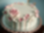 Rose and hydrangea cake