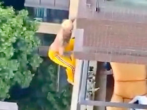 Entrenador de fitness intenta escapar por una ventana y muere tras caer de un edificio