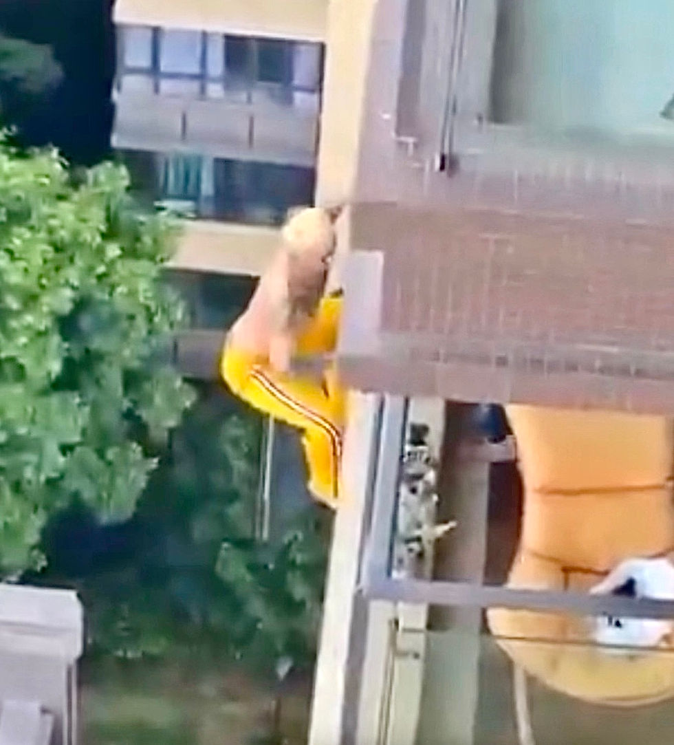 Entrenador de fitness intenta escapar por una ventana y muere tras caer de un edificio