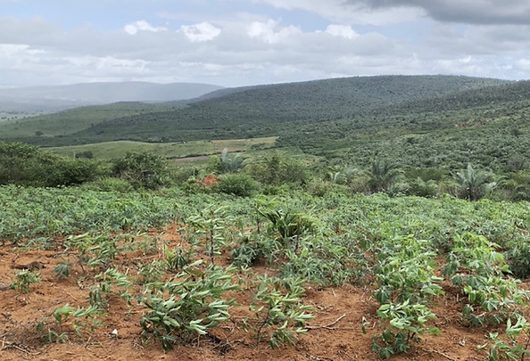Visada Setor Sul da Área