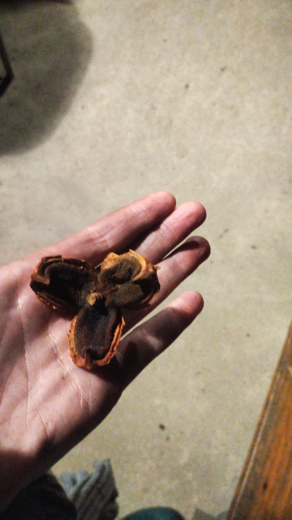 IMG-20230926-WA0009