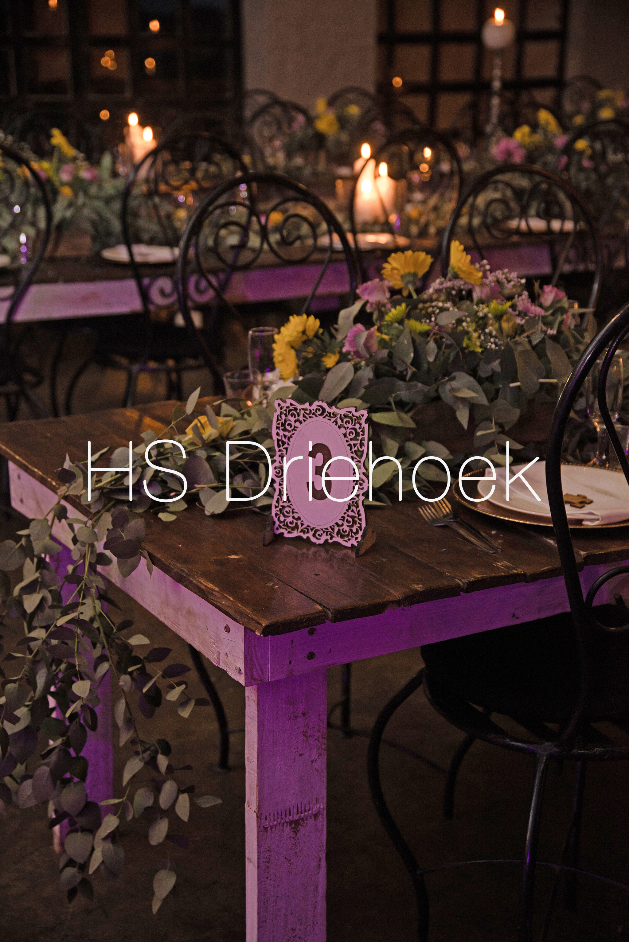 HSM2018 (162)