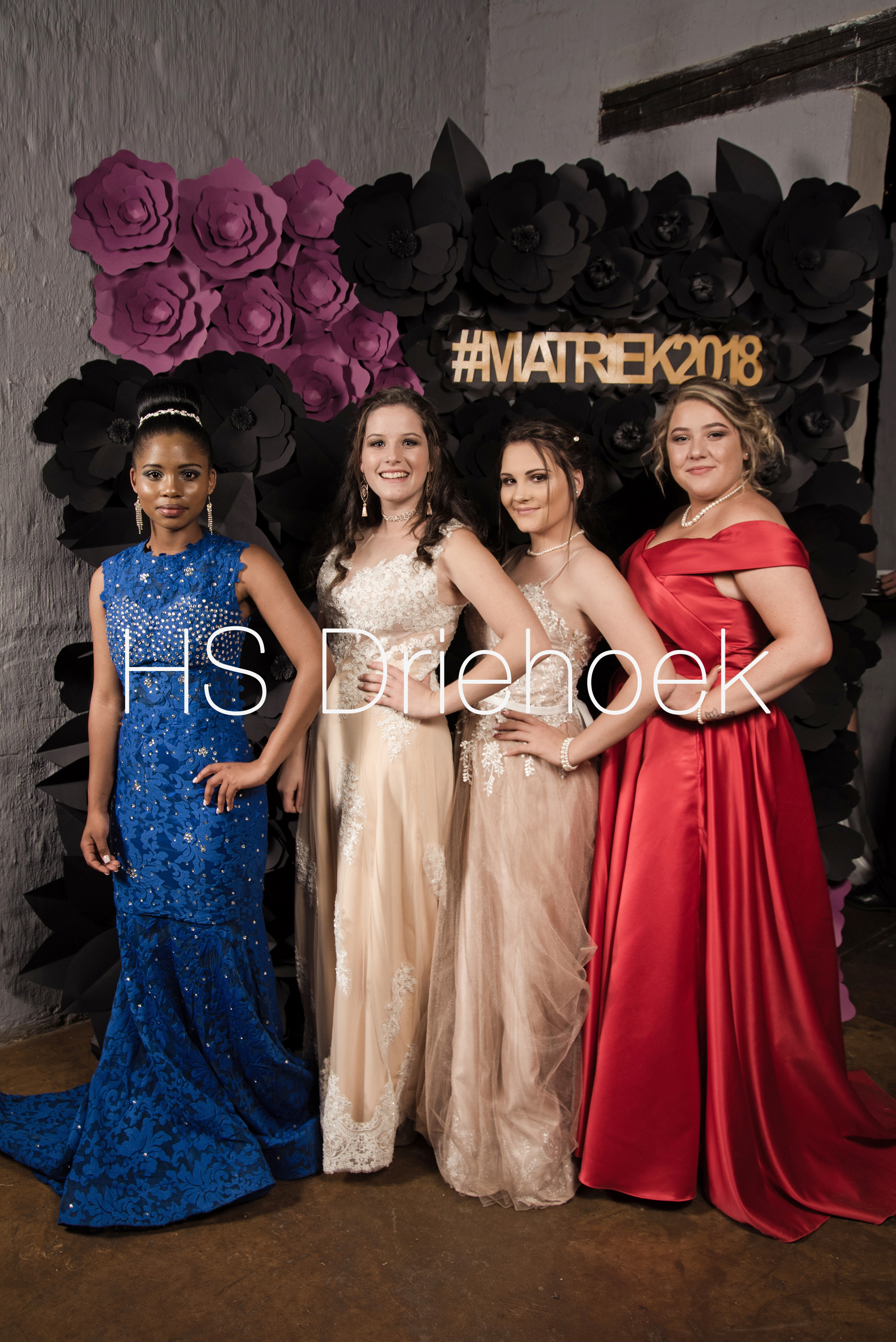 HSM2018 (232)