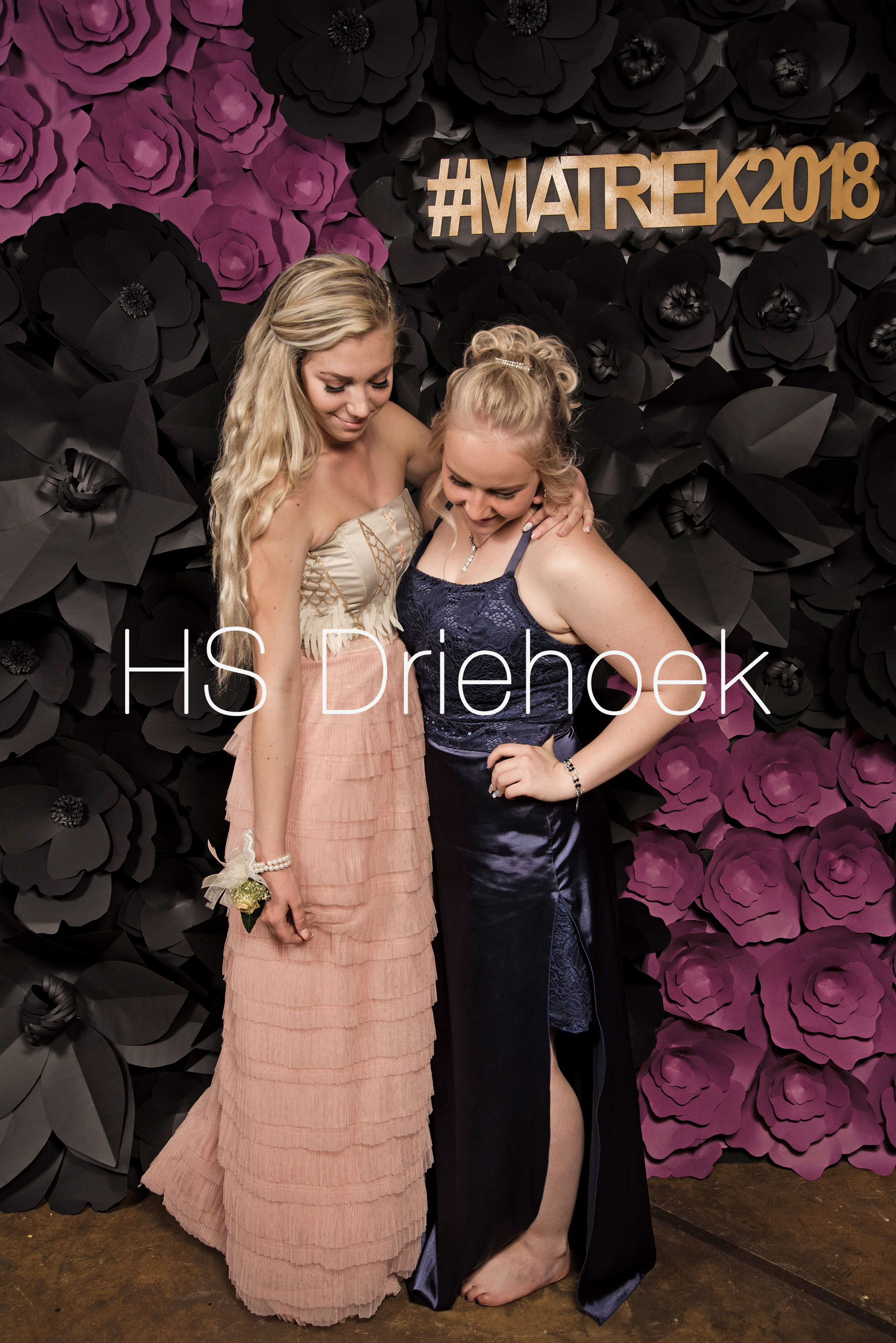 HSM2018 (342)