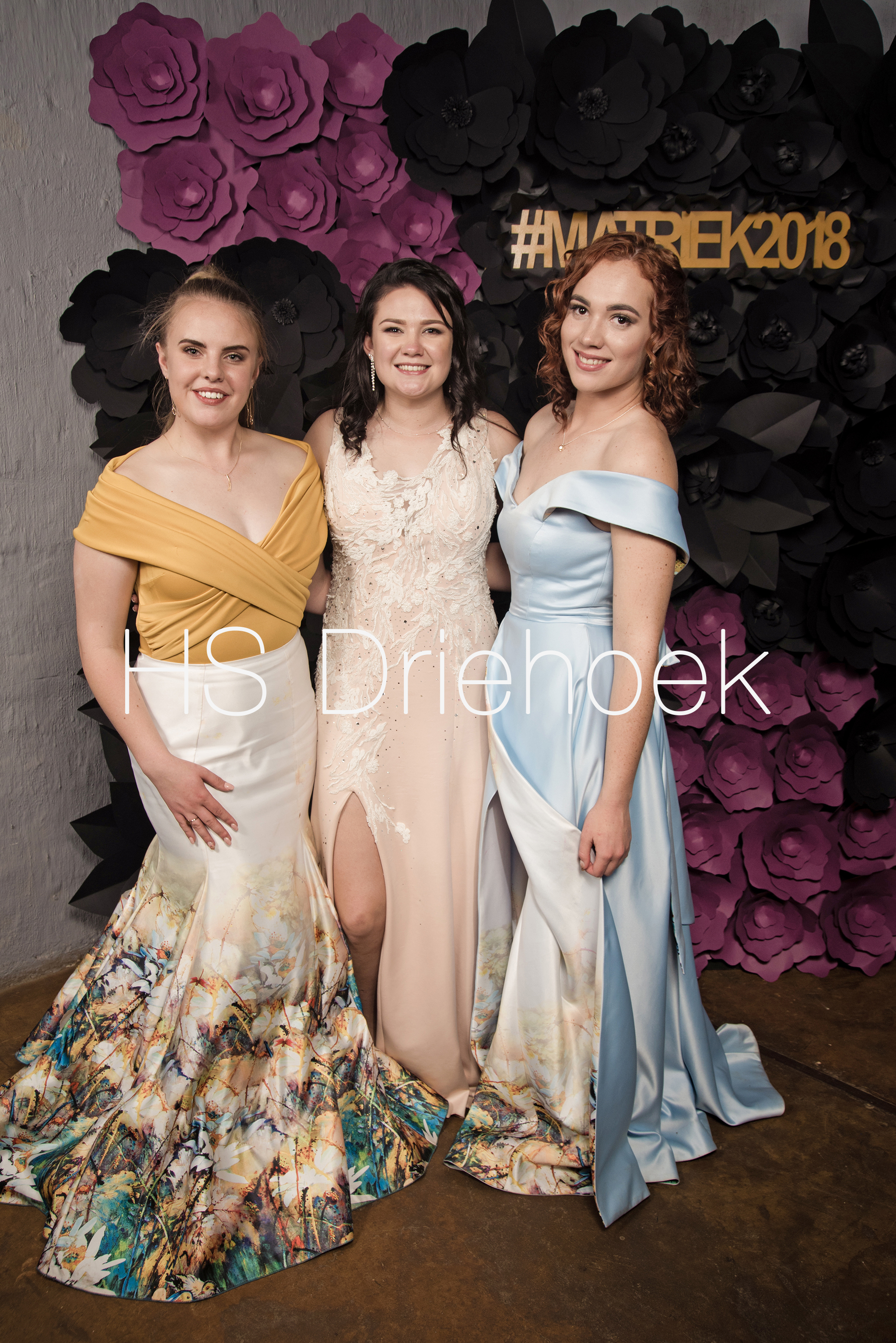 HSM2018 (367)