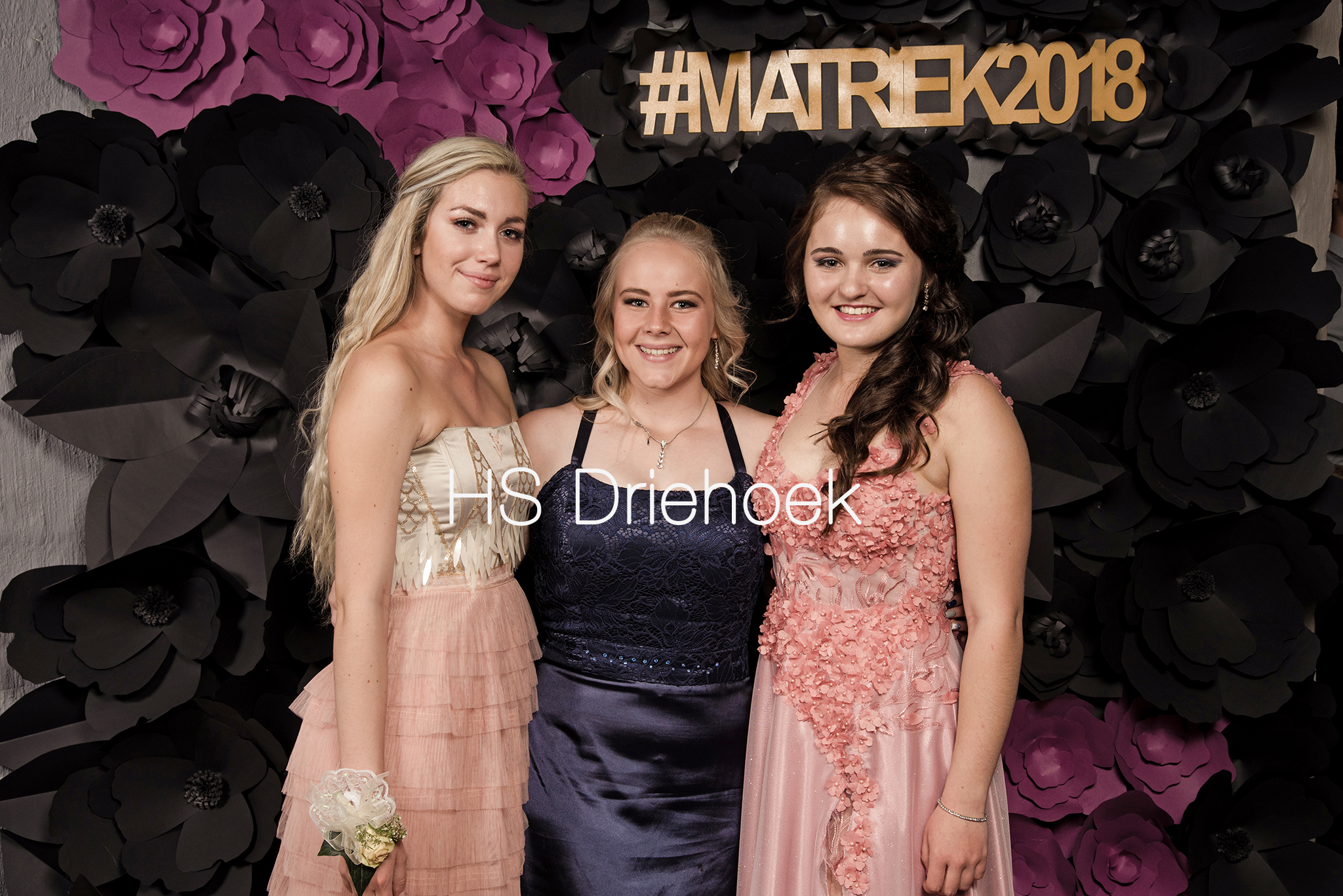 HSM2018 (301)