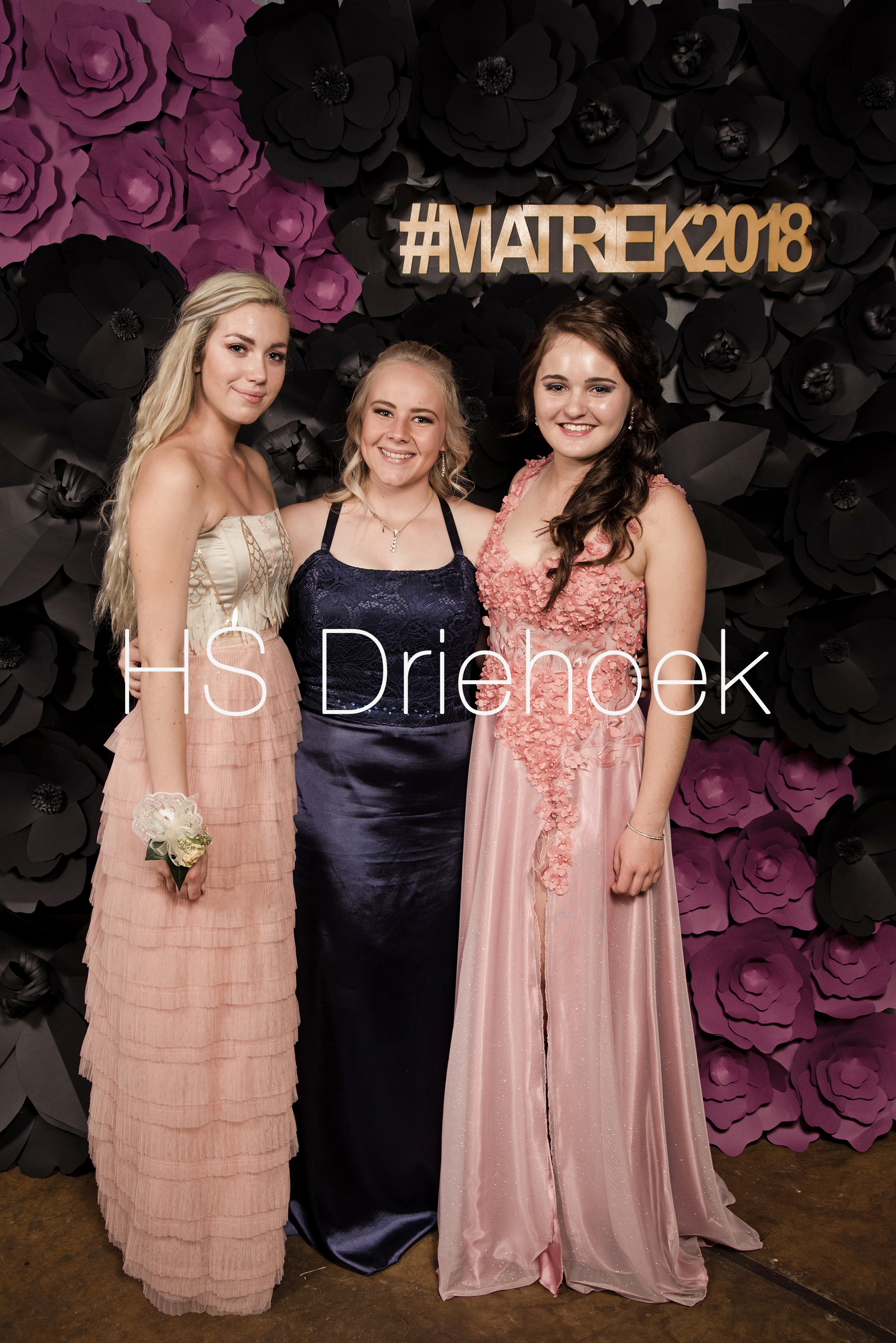 HSM2018 (300)