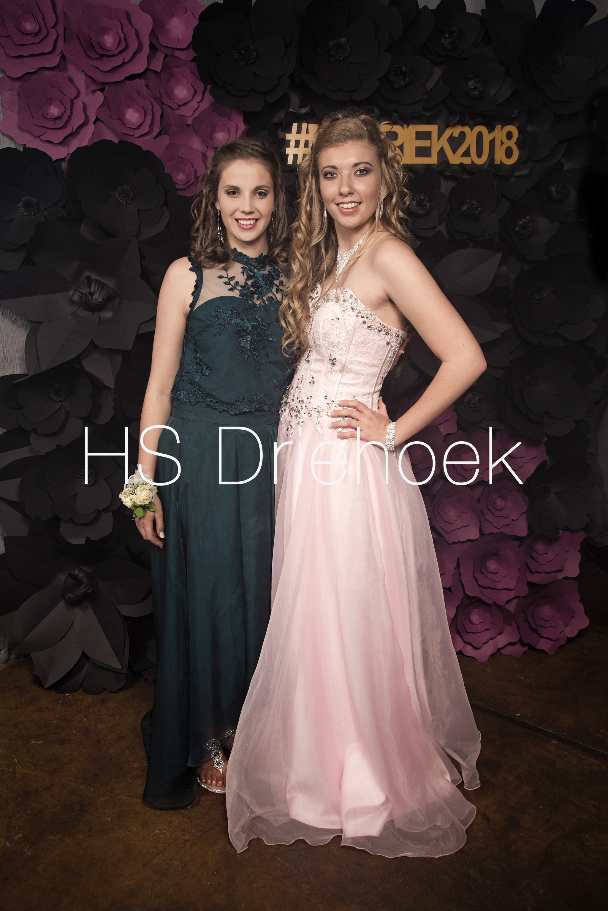 HSM2018 (356)