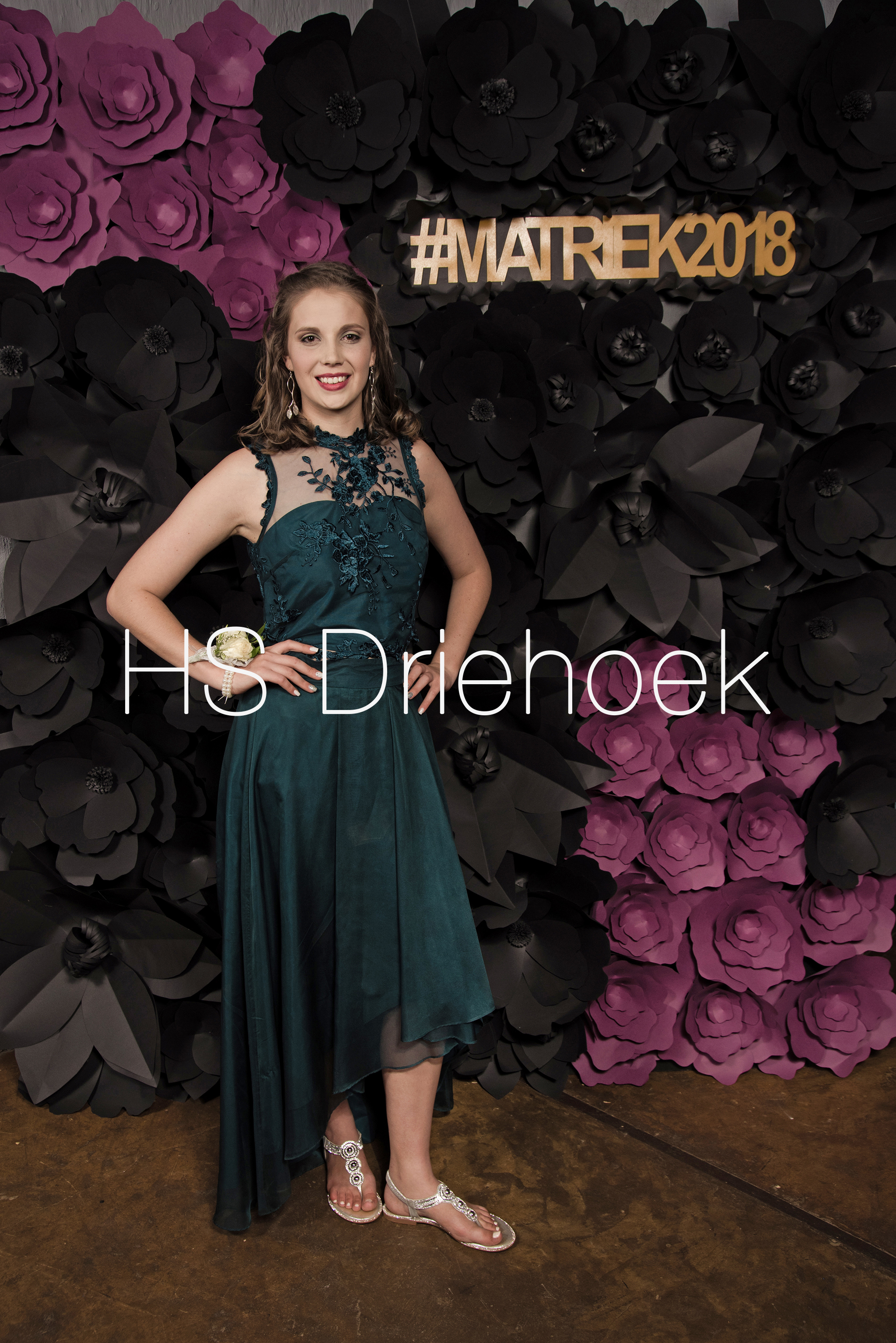 HSM2018 (311)