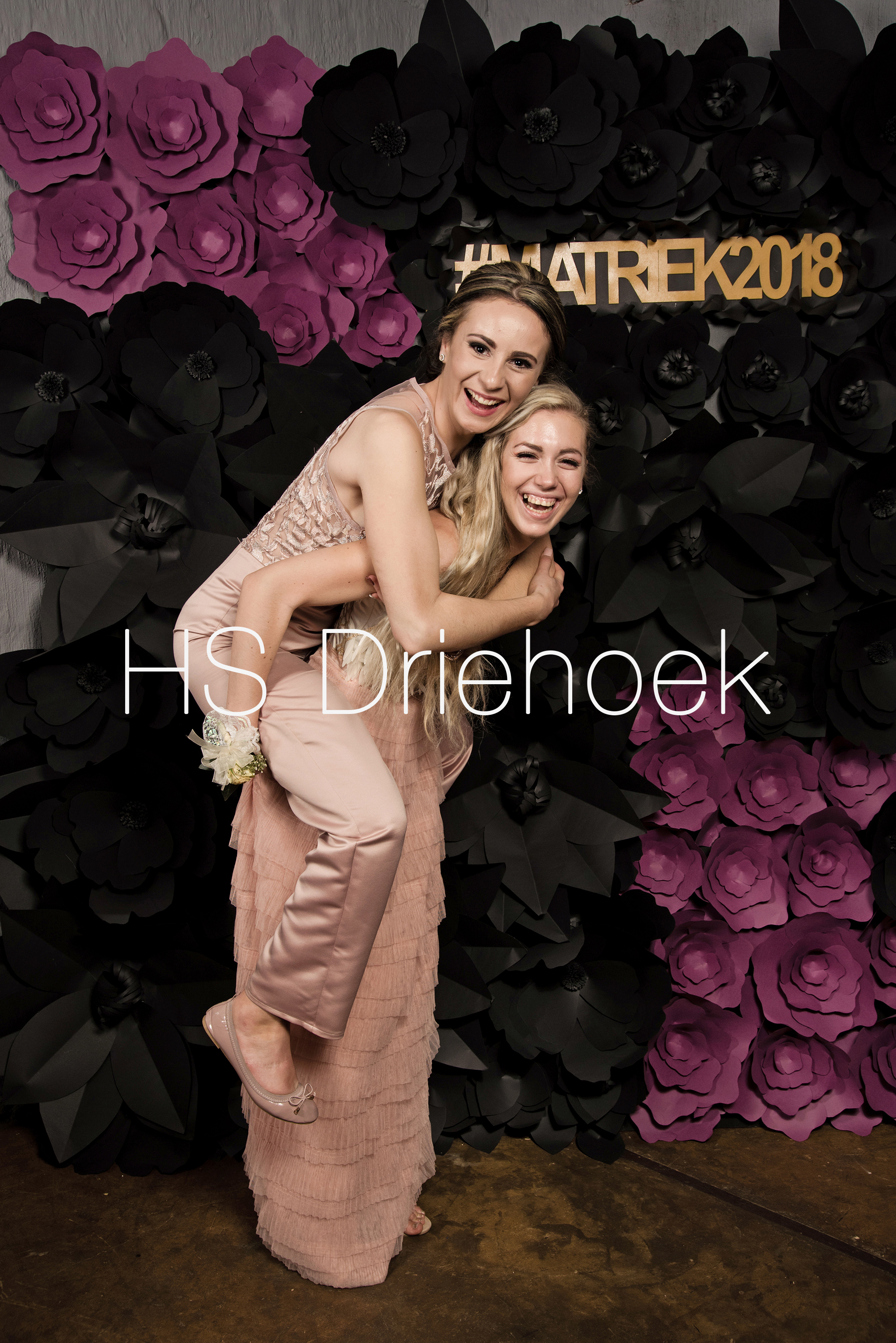 HSM2018 (334)