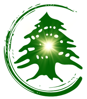mon logo