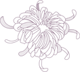 花の概要