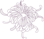 Flower Outline