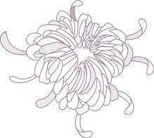 Flower Outline