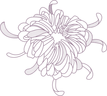 Flower Outline