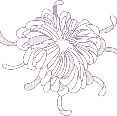 Flower Outline