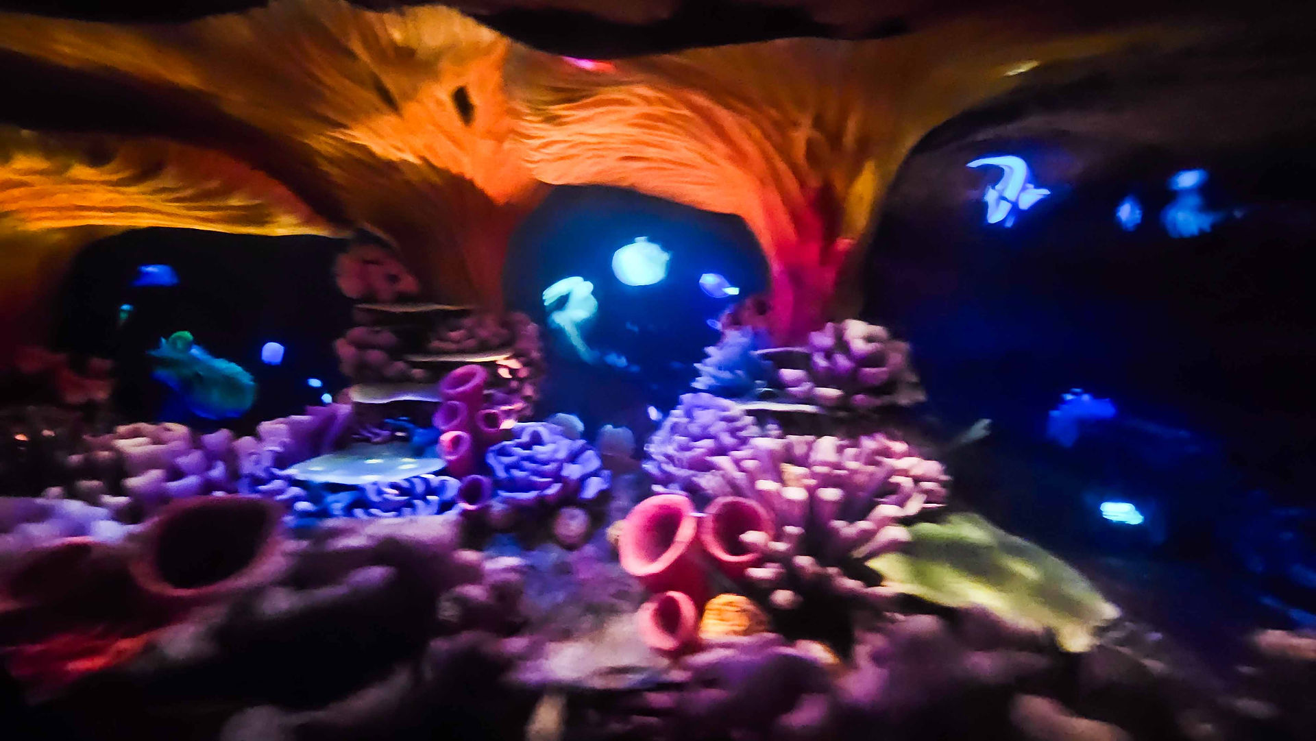 Finding Nemo Submarine Voyage na Disneyland em Los Angeles