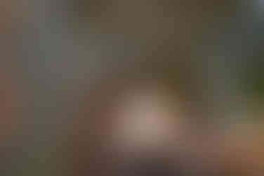 New Orleans Square na Disneyland em Los Angeles