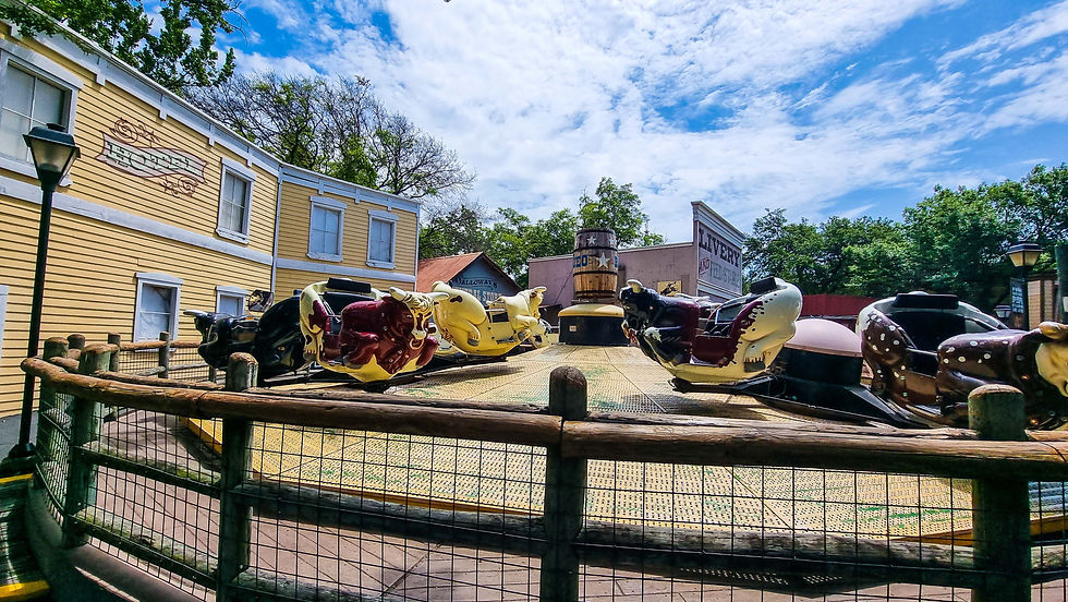 Rodeo no Six Flags Over Texas