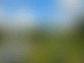 O que fazer em Bruxelas: parque Walibi Belgium