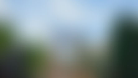 O que fazer na Alemanha: Heide Park