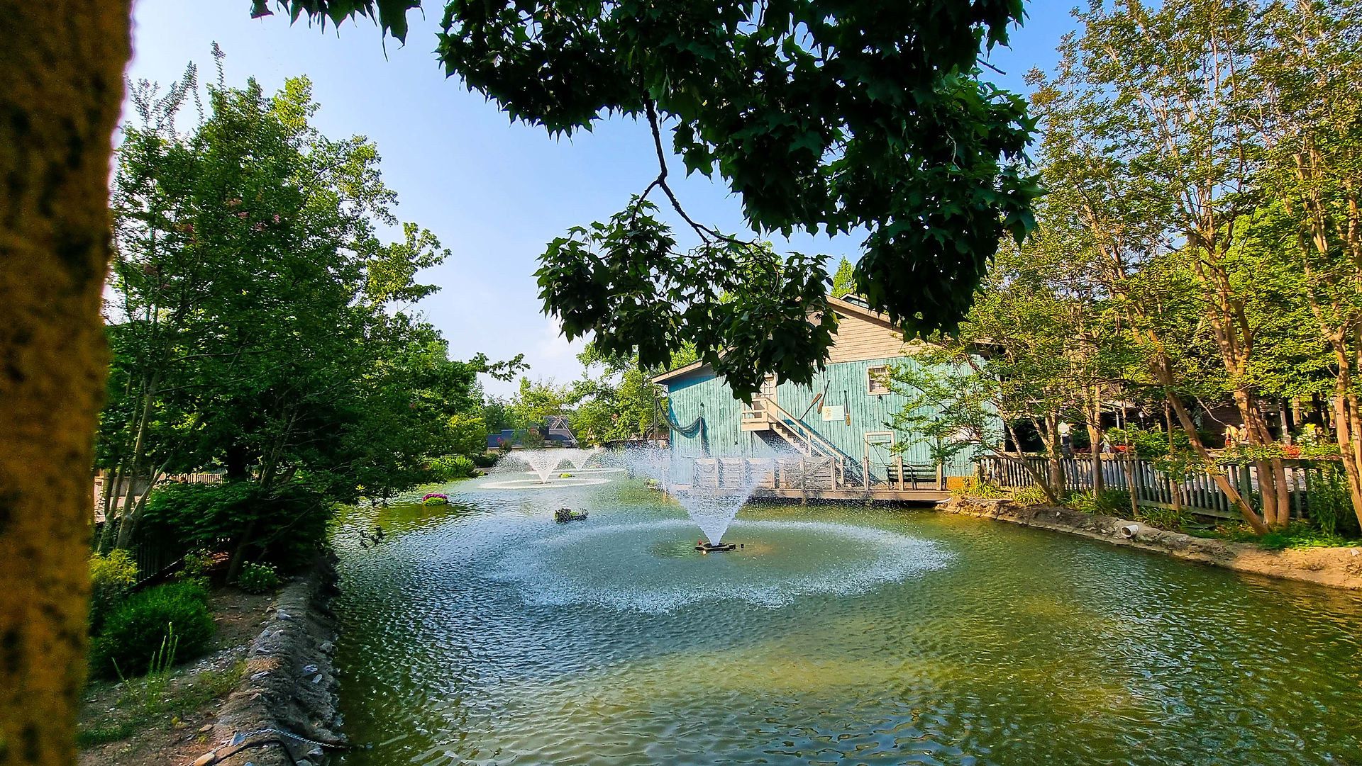 O que fazer nos Estados Unidos: Dollywood
