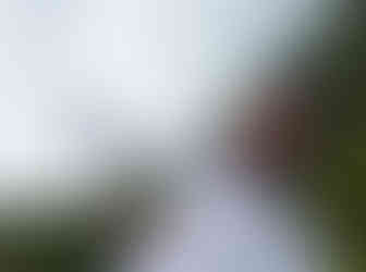 Tirolesa na Terra dos Dinos em Miguel Pereira