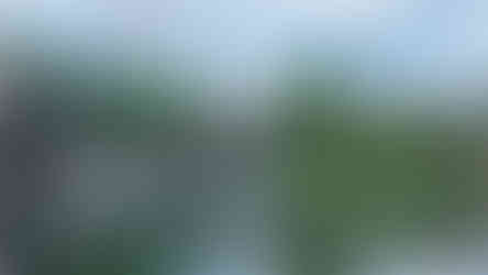 O que fazer na Alemanha: Heide Park