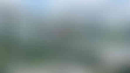 O que fazer na Alemanha: Heide Park