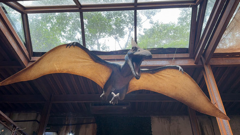 Preços da comida na Terra dos Dinos em Miguel Pereira