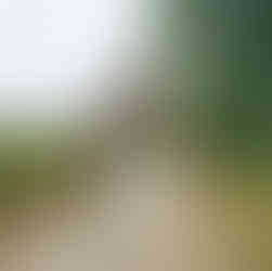 O que fazer em Bruxelas: parque Walibi Belgium