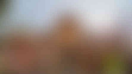 O que fazer no Chile: Fantasilandia