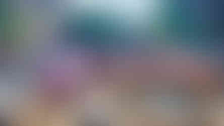 O que fazer na Alemanha: Heide Park