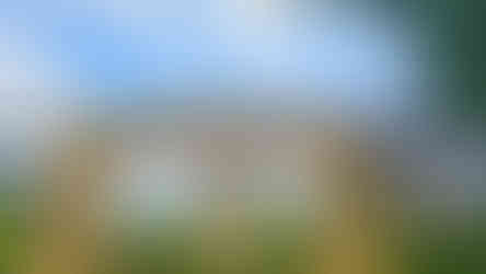 O que fazer na Alemanha: Heide Park