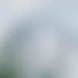 O que fazer em Bruxelas: parque Walibi Belgium