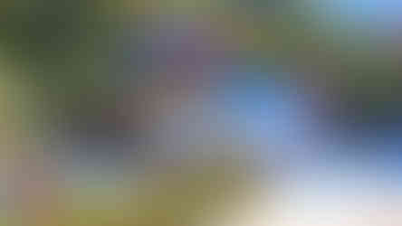 Mickey's Toontown na Disneyland em Los Angeles