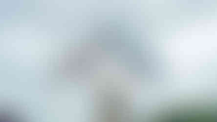 O que fazer em Belo Horizonte: Parque Guanabara