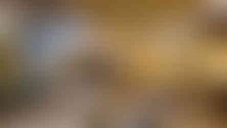 O que fazer no Chile: Fantasilandia