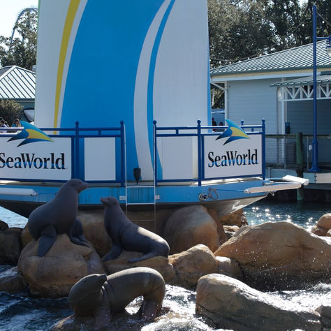 SeaWorld Orlando