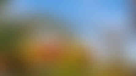 O que fazer no Chile: Fantasilandia