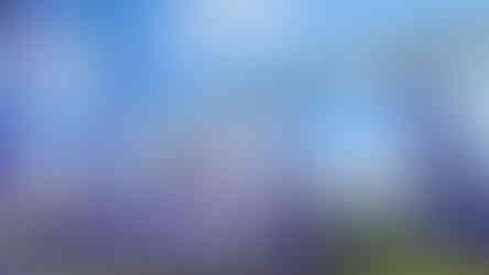 O que fazer na Alemanha: Heide Park