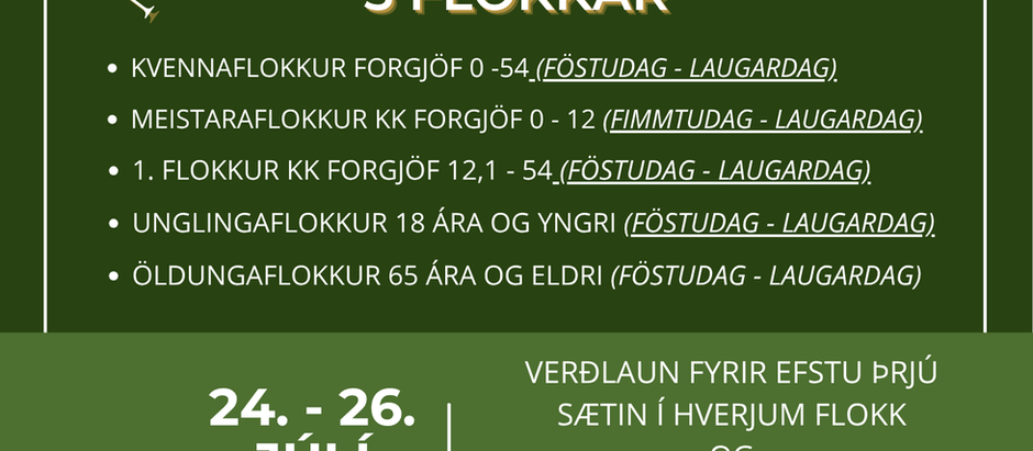 Meistaramót GN