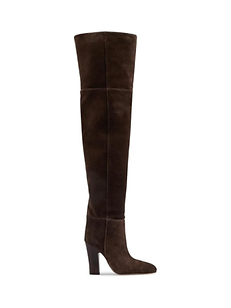 Lavinia 100MM Suede Over-the-Knee Boots