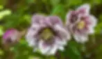 00d012172444de695e2cf4b1b5580283.png