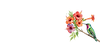 Mask Group 58.png