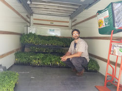 Jonathan's plants