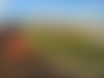 HOW TO PREPARE FOR THE YEAR AHEAD: a smallholder’s guide of monthly tasks