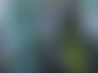 Become a Superstar Community Gardener